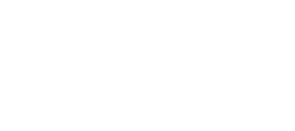 Logo wersji programu